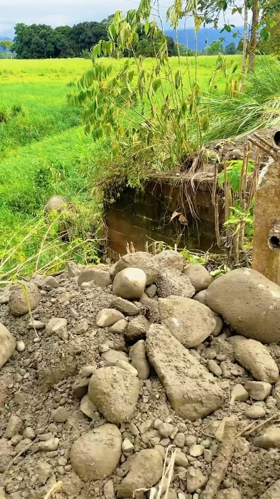Municipio y Prefectura del Guayas coordinan atención en 28 de Mayo